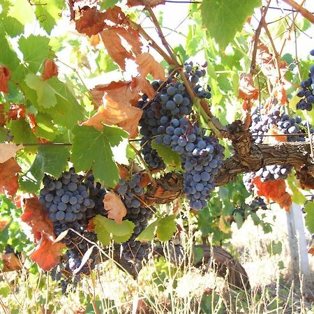 Agriturismo Locoe 오리에나 외부 사진