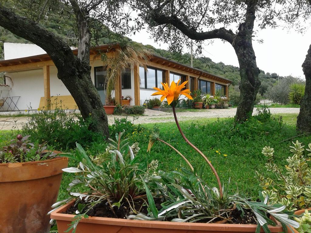 Agriturismo Locoe 오리에나 외부 사진