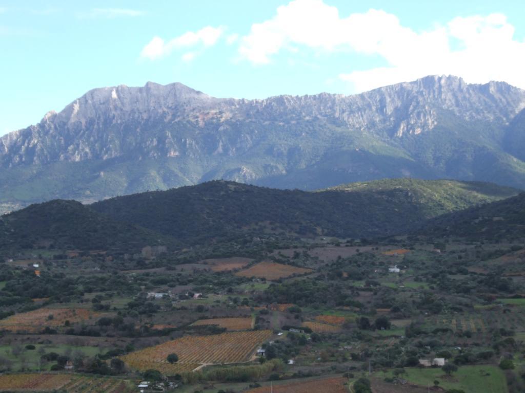 Agriturismo Locoe 오리에나 외부 사진
